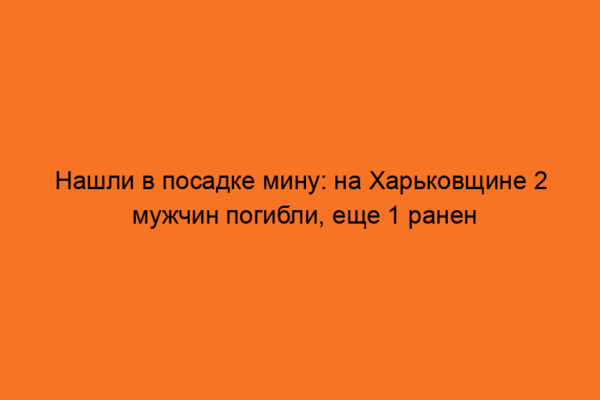 Нашли в посадке мину: на Харьковщине 2 мужчин погибли, еще 1 ранен